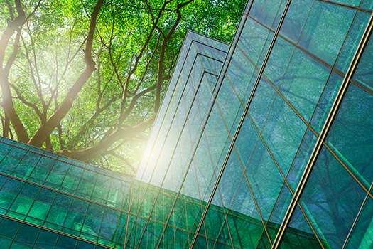 Photo of trees reflecting on glass building