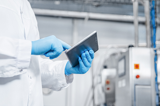 quality audit in food manufacturing plant