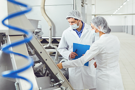 quality inspection in food manufacturing plant