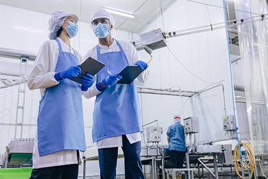 sanitation workers at a food processing plant