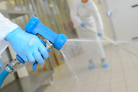 sanitizing food production plant