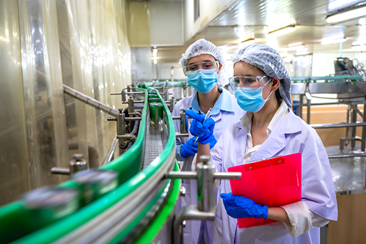 food safety audit
