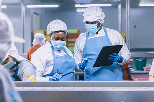 food safety audit