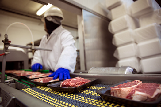 food manufacturer worker working with raw meat safely