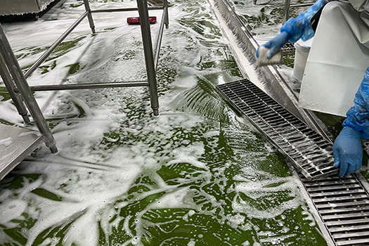 suds and soap on food manufacturing floor