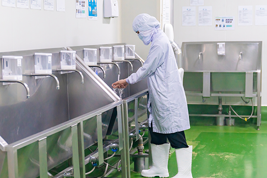 food sanitation worker washing hands