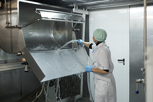 woman hosing down food production equipment