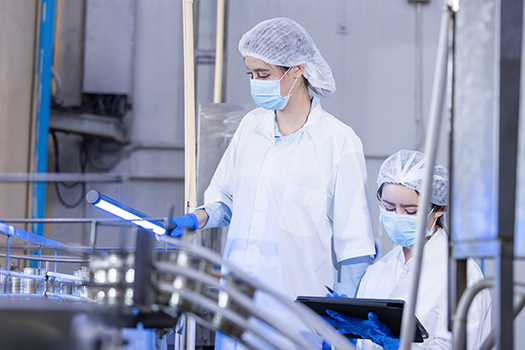woman using UV rays to sanitize food production equipment